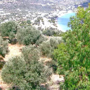 Земельный участок в Municipality of Sifnos, фото 5