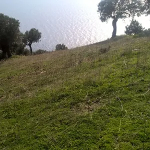 Земельный участок в Kassandra Municipality, фото 3