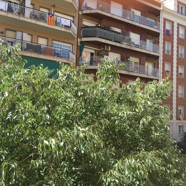 Квартира в Барселона, фото 1