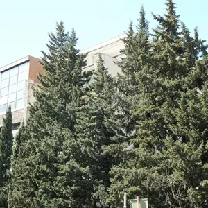 Квартира в Будва, фото 4