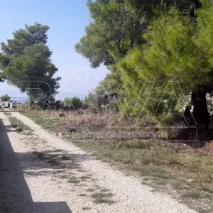Земельный участок в Вир, фото 4