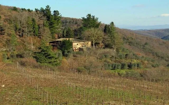 Квартира в Gaiole в Чианти