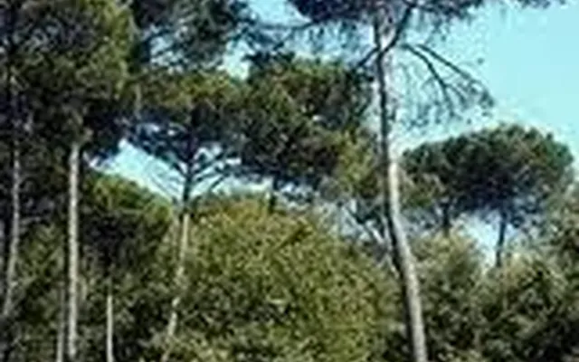 Вилла в Барселона