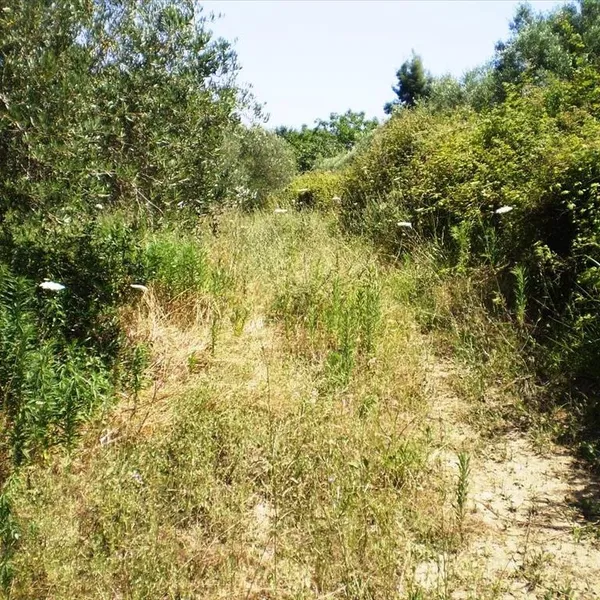 Земельный участок в Kassandra Municipality, фото 1