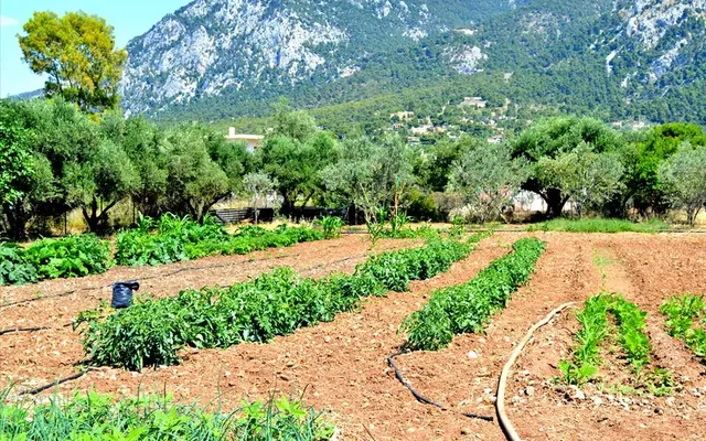 Земельный участок в Loutraki - Perachora
