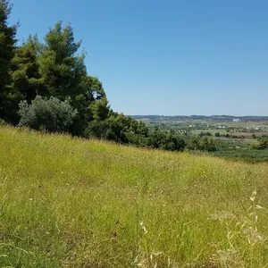 Земельный участок в Kassandra Municipality, фото 3