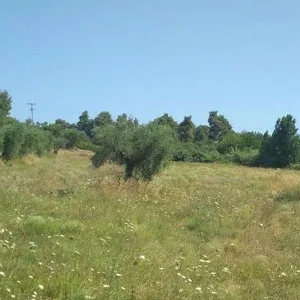 Земельный участок в Македония и Фракия, фото 4