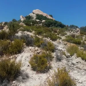 Земельный участок в Ситониа, фото 2