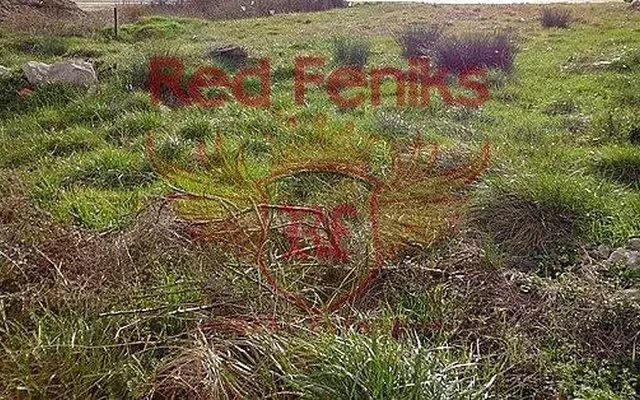 Земельный участок в Бар