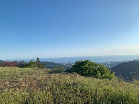 Земельный участок в Şekerhane Махаллеси