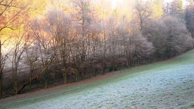 Земельный участок в Баден-Баден