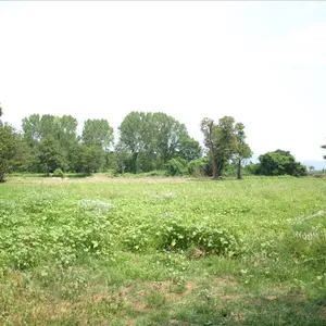 Земельный участок в Халкидики, фото 3