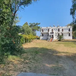 Отель в Ситониа, фото 4