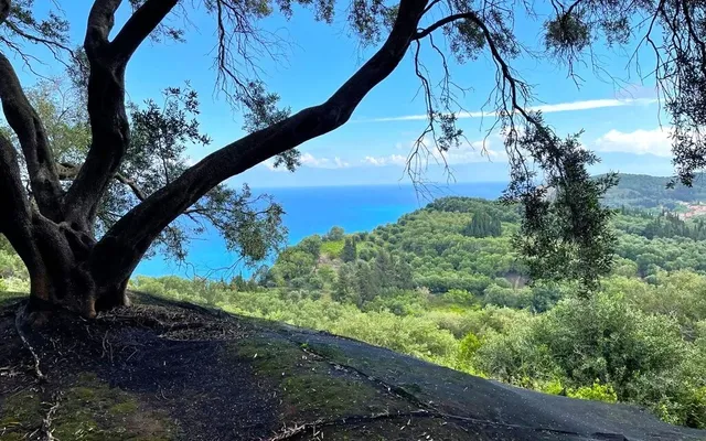 Земельный участок в Corfu