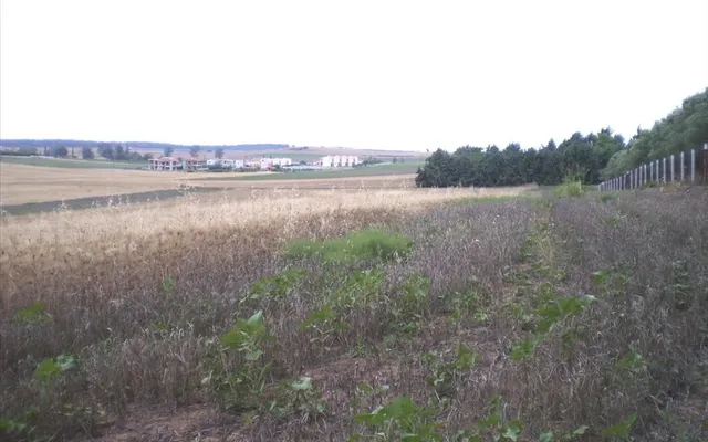 Земельный участок в Kassandra Municipality