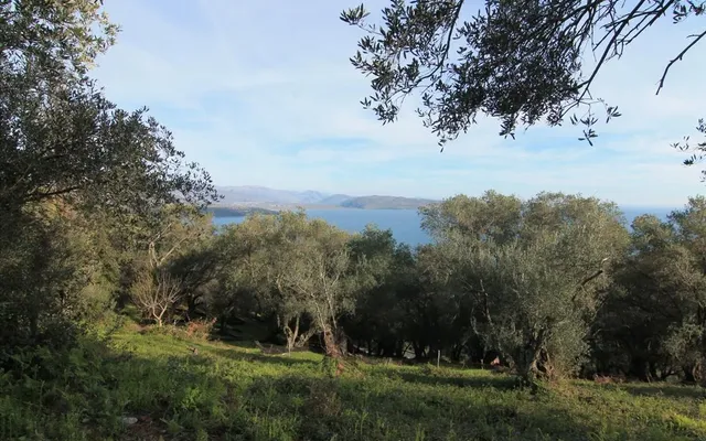 Земельный участок в Corfu