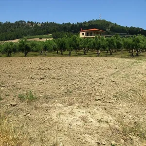 Земельный участок в Kassandra Municipality, фото 4
