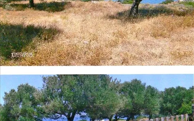 Земельный участок в Municipality of Sifnos