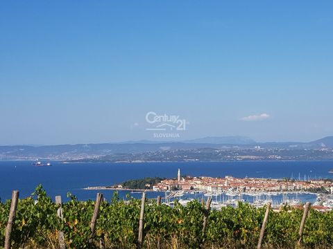 Таунхаус в Изола