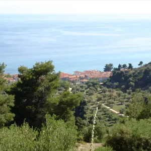 Земельный участок в Kassandra Municipality, фото 3