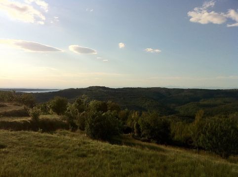 Земельный участок в Пиран