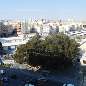 Квартира в Аликанте, фото 2