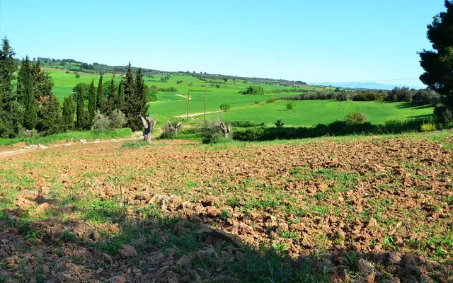 Земельный участок в Kassandra Municipality