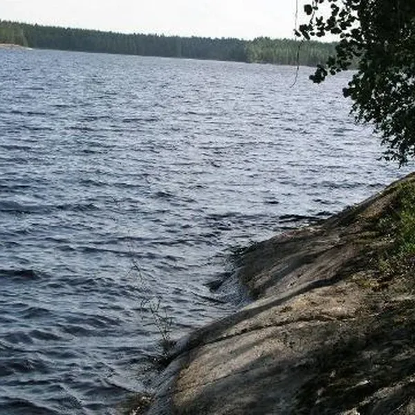 Земельный участок в Пуумала, фото 1