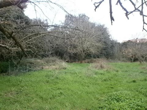 Земельный участок в Ровинь