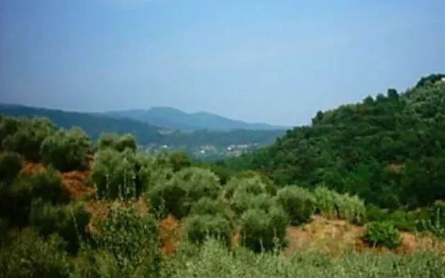 Отдельный дом в Лукка