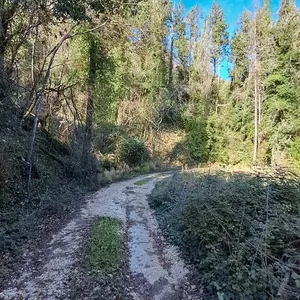 Земельный участок в Corfu, фото 4
