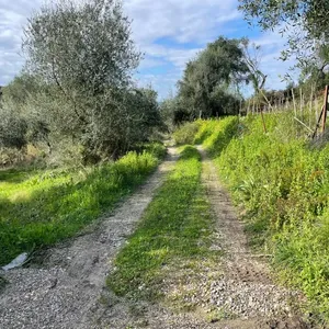 Земельный участок в Corfu, фото 3