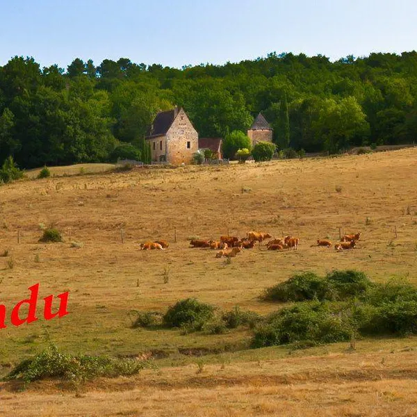 Дом в Nouvelle-Aquitaine, фото 1