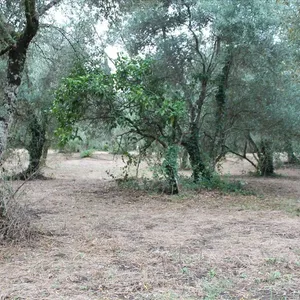 Земельный участок в Corfu, фото 5