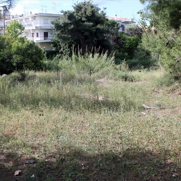 Земельный участок в Kassandra Municipality, фото 1