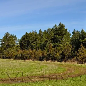 Земельный участок в Таллинн, фото 2