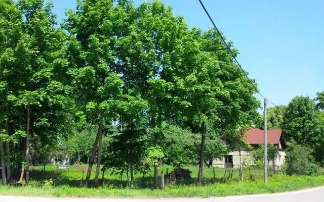 Инвестиции в Старая Рига