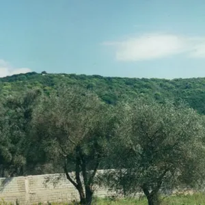 Земельный участок в Corfu, фото 4