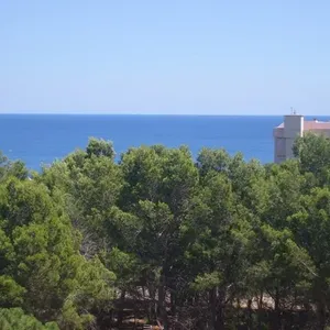 Квартира в Миами-Пладжа, фото 3