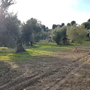 Земельный участок в Kassandra Municipality, фото 4
