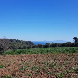 Земельный участок в Kassandra Municipality, фото 2