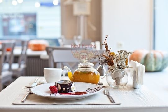 Коммерческая недвижимость в Будва