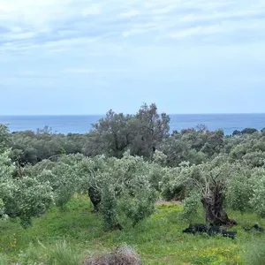 Земельный участок в Corfu, фото 3