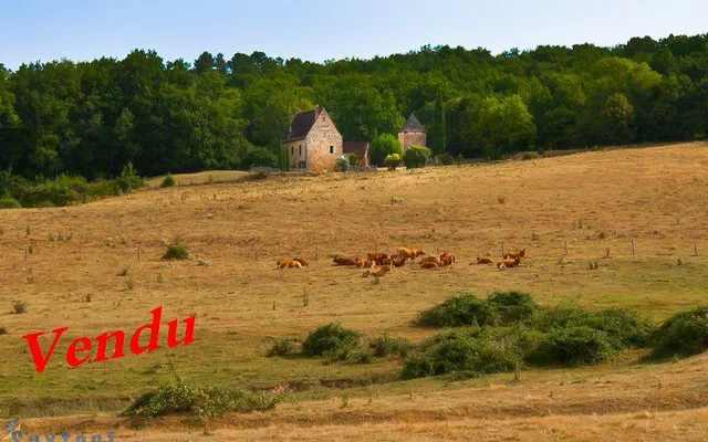 Дом в Nouvelle-Aquitaine