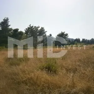 Земельный участок в Каллифея (Кассандра), фото 4
