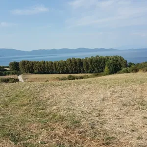 Земельный участок в Aristotle University of Thessaloniki, фото 2
