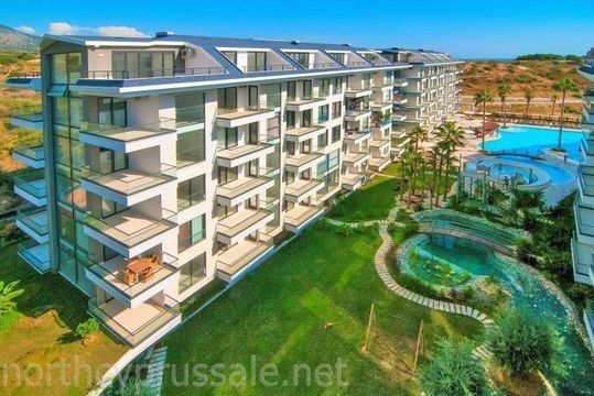 Студия в Кестел