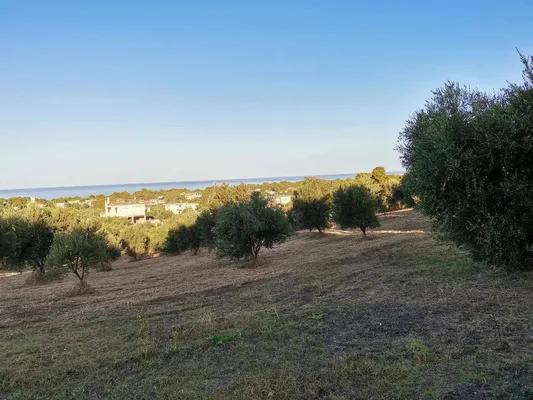 Земельный участок в Захаро