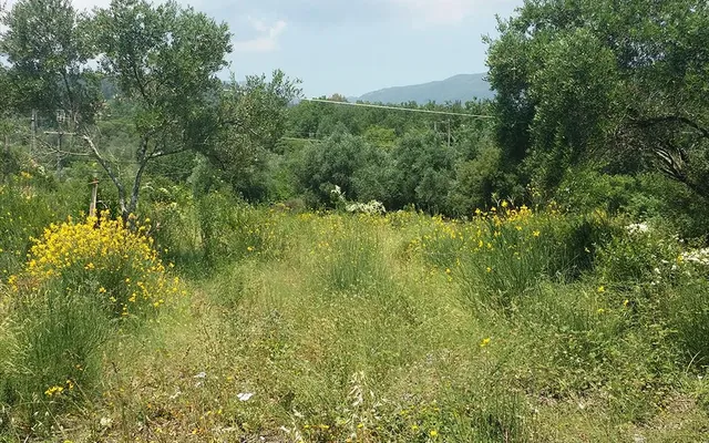 Земельный участок в Corfu
