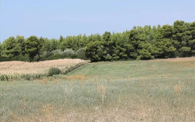 Земельный участок в Kassandra Municipality